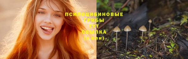 трава Алексин