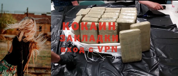 ECSTASY Алзамай