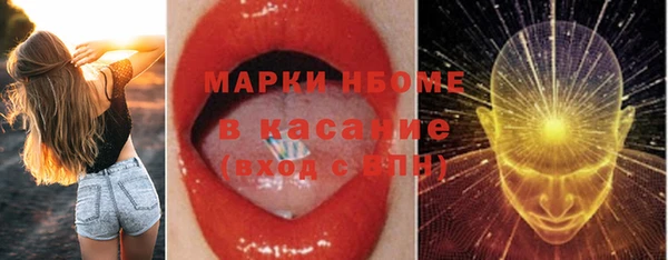 мдпв Рославль