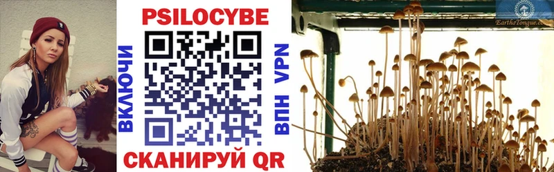 Псилоцибиновые грибы Psilocybine cubensis  площадка наркотические препараты  Таруса  где купить наркоту  kraken ссылки 